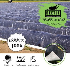 ผ้าใบพลาสติกคลุมดิน